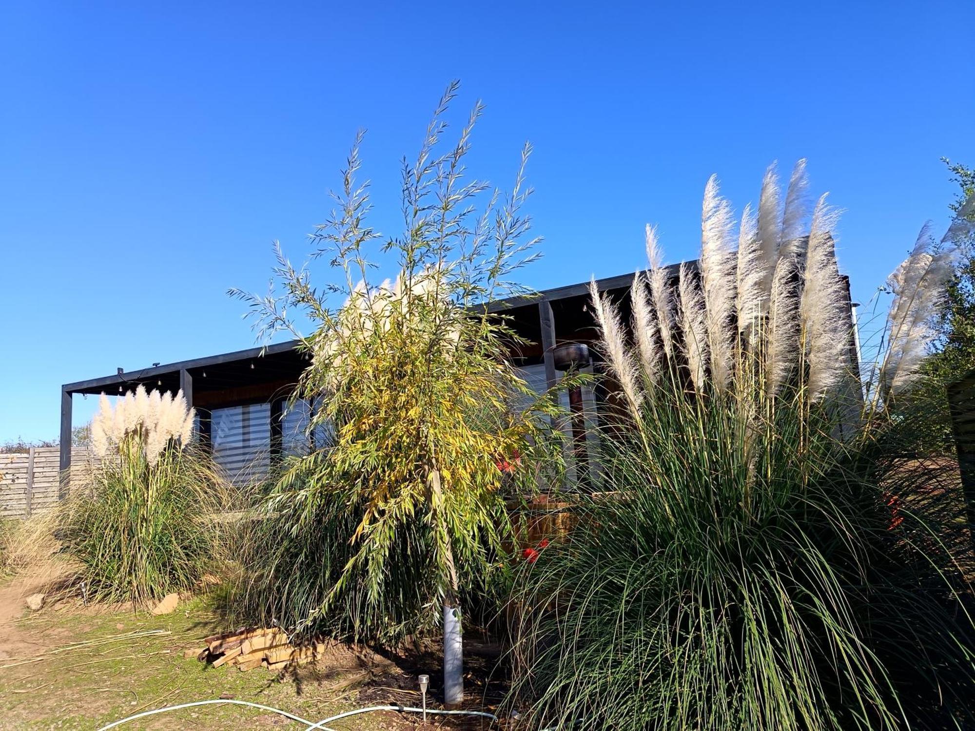Holiday home Con Tinaja -litueche Navidad